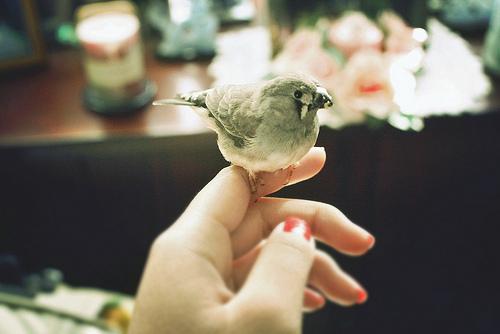 双鱼女想复合的暗示 傻傻的等你回头 语录 第1张-秀美女性 双鱼女想复合的暗示 傻傻的等你回头 语录 第1张