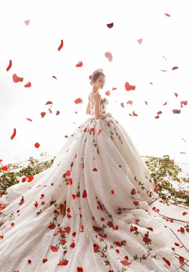 迪丽热巴穿玫瑰刺绣礼服走红毯，宛如童话里的公主 明星搭配 第3张