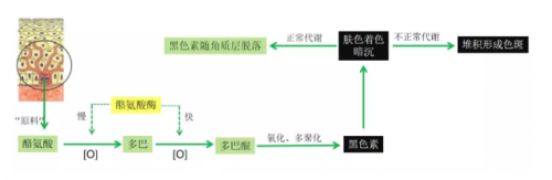 美白丸下课，极限全身美白就看DPL PRO黑金超光子！ 健康 第2张