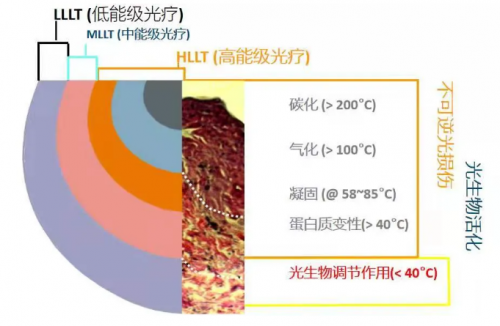 能修复痘肌、敏感肌，号称“胶原光”的嗨光来啦！ 健康 第2张