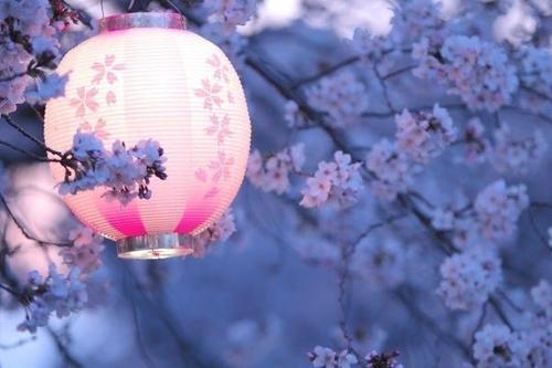 爱情的句子唯美短句 浪漫有内涵的爱情句子 语录 第1张-秀美女性 爱情的句子唯美短句 浪漫有内涵的爱情句子 语录 第1张