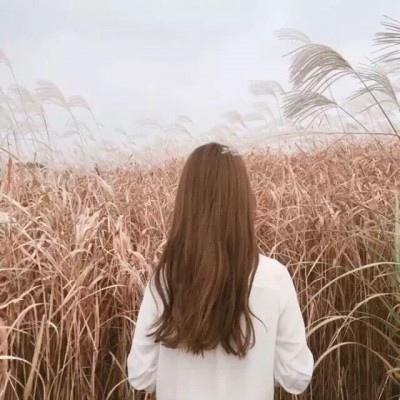 暖心写给爸爸的短句 一句话感谢爸爸 语录 第1张-秀美女性 暖心写给爸爸的短句 一句话感谢爸爸 语录 第1张